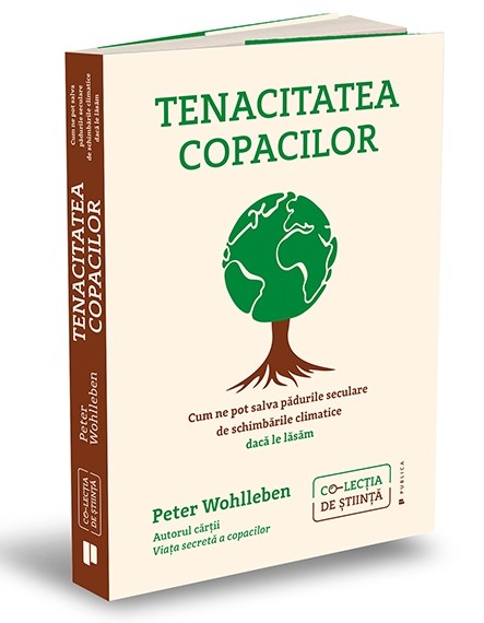 Tenacitatea copacilor