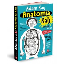 Anatomia lui Kay