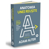 Anatomia unei reușite