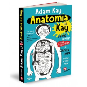 Anatomia lui Kay