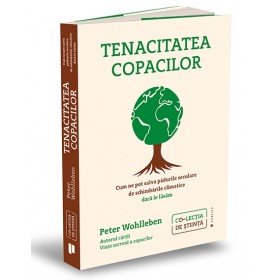 Tenacitatea copacilor